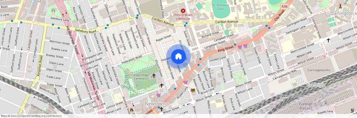 29 Egan Street, Newtown NSW 2042