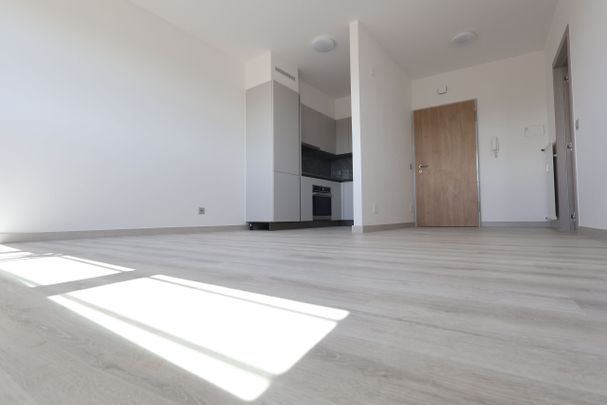 Luminoso 2.5 locali APPENA RISTRUTTURATO a Coldrerio - Photo 1