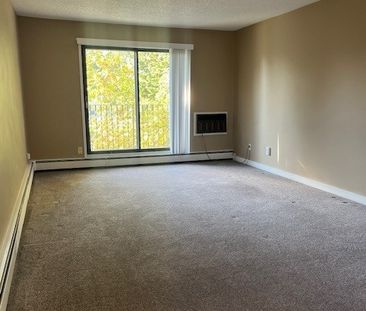 2 BDRM/1 BATH - 2318 ARLINGTON AVE - Available OCT 1 - Photo 1