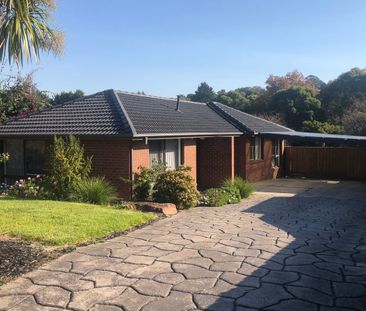 IMMACULATE RENOVATED 3 BEDROOM HOME! - Photo 4