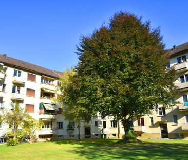 New home happiness in Thun wanted? - Foto 4