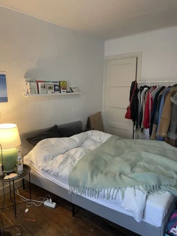 Te huur: Kamer Achter de Molens in Maastricht - Foto 2