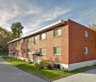 GRAND 4 1/2 | SECTEUR JACQUES-CARTIER - Photo 2