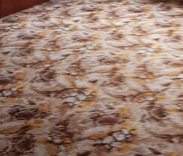 LOOKING FOR A FAMILY HOME? - Photo 2