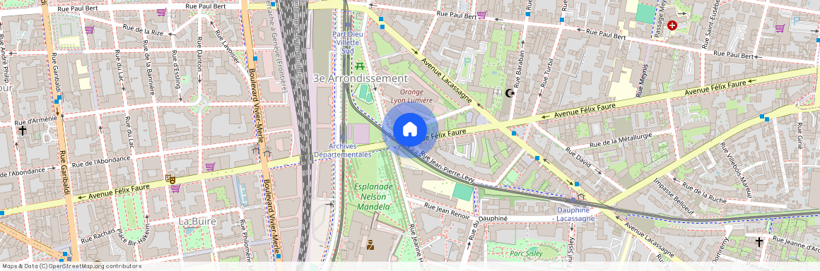 Avenue Félix Faure, Francja, Lyon