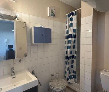 Location Appartement 1 pièce 21m² ALBI 81000 - Photo 6