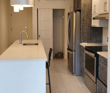 Appartement à louer - Gatineau (Hull) (Plateau de la Capitale) Appa... - Photo 3