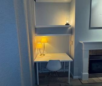 Fully furnished Studio with a private 260sq/ft patio - Photo 4