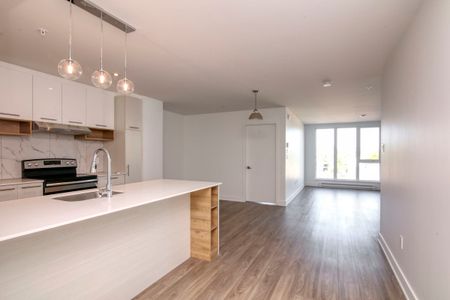 9675 Av. Papineau - Photo 4
