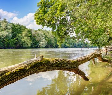 Herzogparksuiten | Außergewöhnlicher Wohngenuss - Photo 6