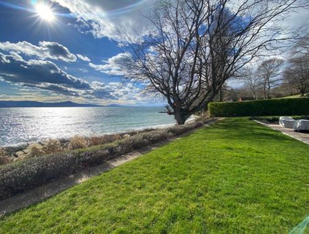 Living by the lake! - Photo 2