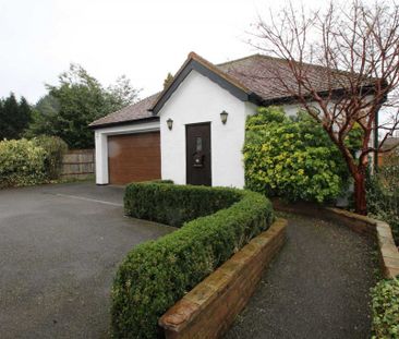 1 bed Bungalow for rent - Photo 4