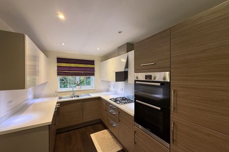 Tiger Flower Way - Photo 4