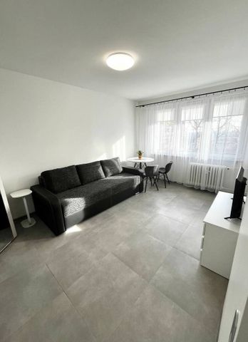 kawalerka do wynajęcia, Centrum, ul.Potulicka - Photo 3