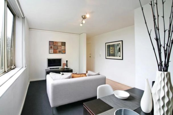 Brand New Air Condtioner & Renovated Kitchen! - Photo 1