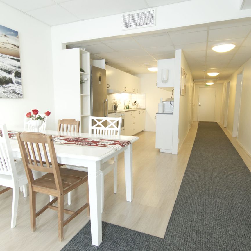 A1 Ett rum 12 m2 med gemensamt kök, dusch och wc. - Foto 1