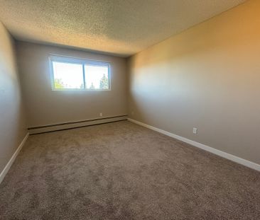 Spacious 2 Bedroom Cat Friendly Suite in Clearview! - Photo 6