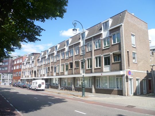 Per direct beschikbaar: studio voor studenten op een A-LOCATIE aan de Wittevrouwensingel te Utrecht - Foto 1