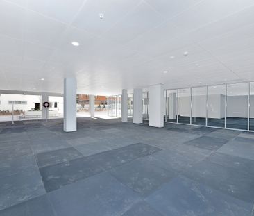 Luxury 2 Bedroom Apartments - Photo 3