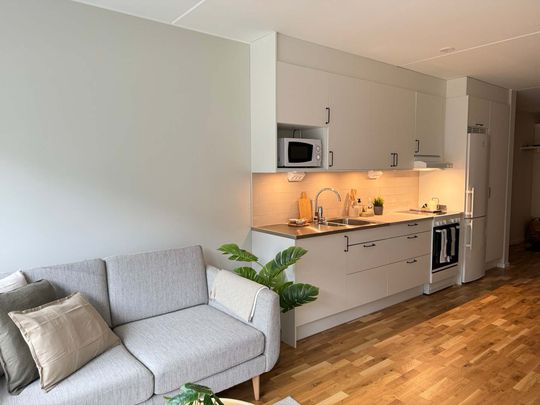 Plåtslagaregatan 2C - Photo 1