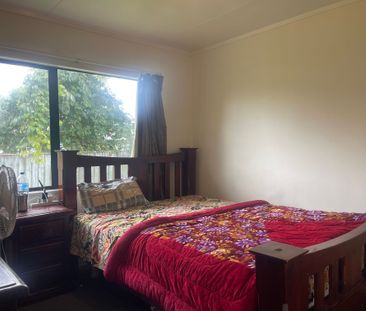 Tidy and compact property in Te Puke - Photo 5