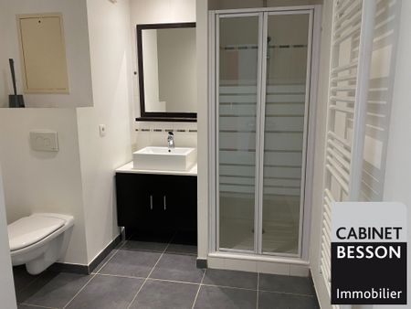 Location Appartement 1 pièce 30m² GRENOBLE 38000 - Photo 5