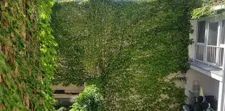 ruhige 2-Zimmer Wohnung- Privat-perfekt für Pärchen/ WG Kollegen - Foto 2
