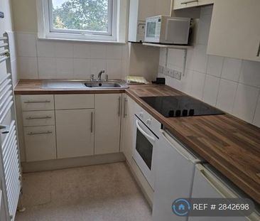 1 bedroom flat to rent - Photo 3
