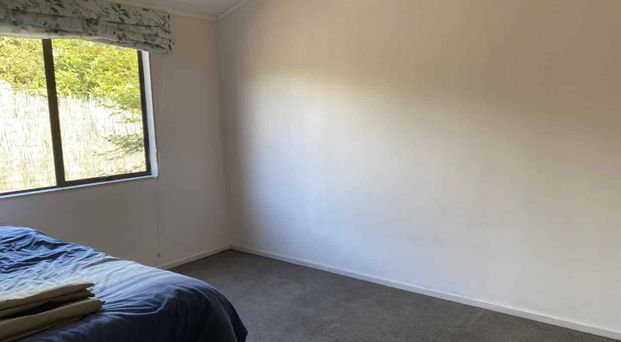 Lakeside for Christmas! - Photo 1