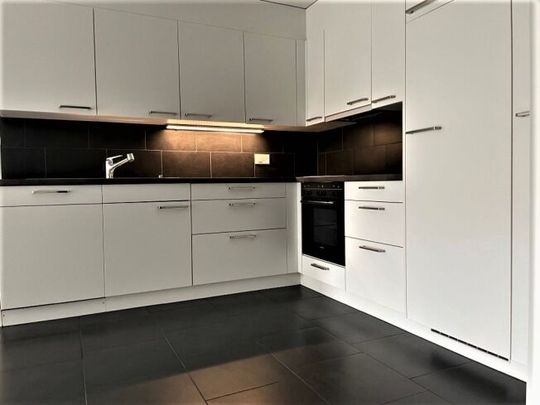 Quiet apartment in Zurich - Foto 1