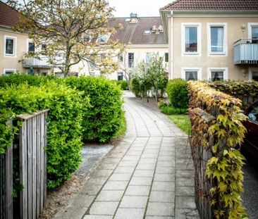 1 rum och kök Museigatan 49 m2 i Centrala Simrishamn - Photo 1