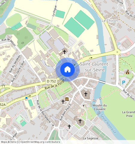 Vendée, 85, 85290, St Laurent Sur Sevre