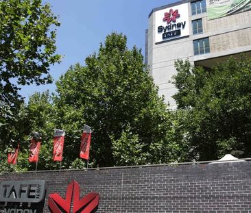 67B Cleveland Street, Darlington NSW 2008 - Studio For Rent | Domain - Photo 6