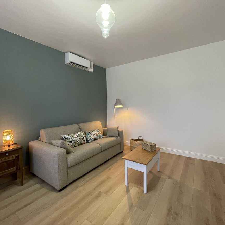 Location Appartement 1 pièce 25m² ALBI 81000 - Photo 1