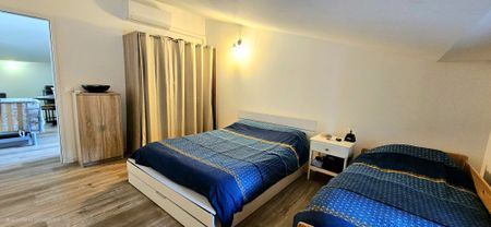 Location Appartement 2 pièces 46m² GONFARON 83590 - Photo 5