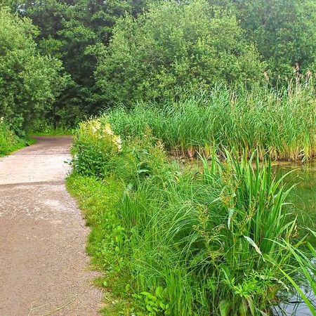 Logdansvägen, Sundbyberg - Photo 3