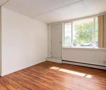 1 Bedroom - Photo 2