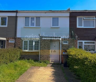 3 bedroom terraced house to rent - Photo 5