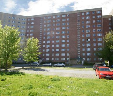 +++ 1-Raum-Wohnung +++ frisch saniert +++ Balkon - Photo 1