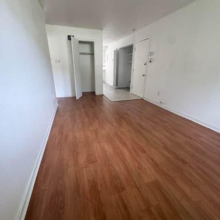 Beau et grand 4 1/2 Longueuil libre - Photo 3