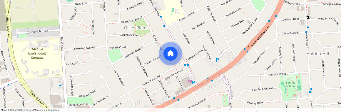 14A Grant Ave, SA 5086, Gilles Plains