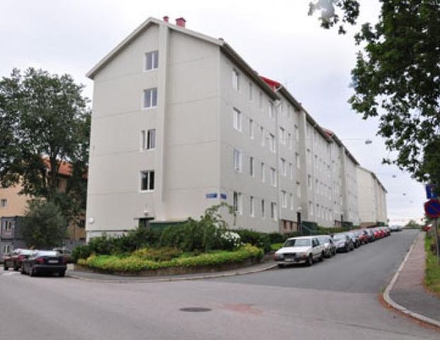 Stavhopparegatan 4B - Photo 1