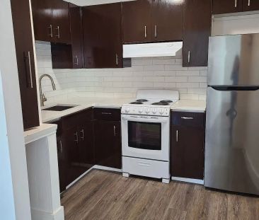 Renovated One Bedroom Suite — 1 Bedroom Apartment - Photo 1