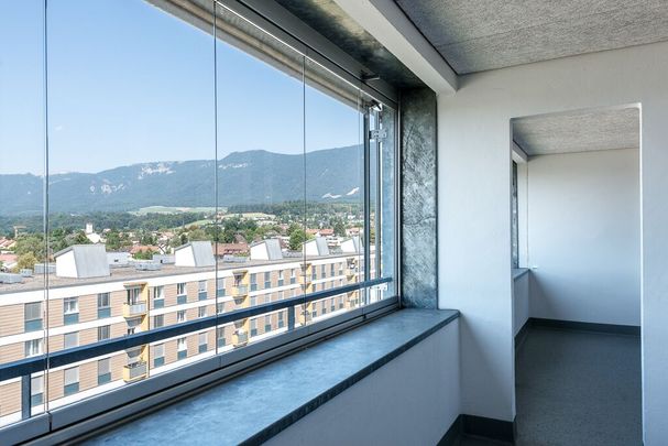Generous duplex apartment with unique views over Bellach - Photo 1