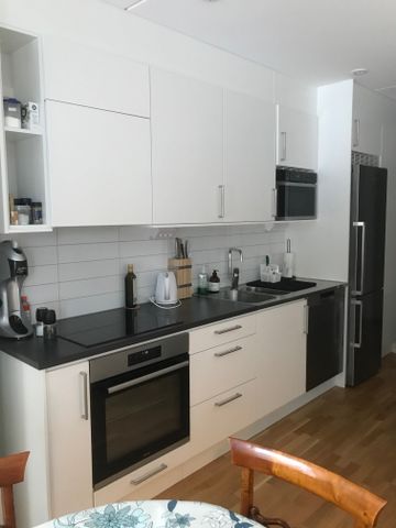 Polcirkelvägen, Vega - Photo 4