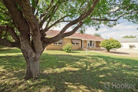 BRICK VENEER SPACIOUS HOME CLOSE TO CBD - Photo 5