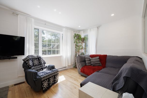 45 Rue Hôtel-de-Ville - Photo 1