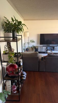 Bondi Beach - Photo 1