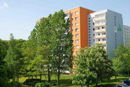 1-Raum-Wohnung mit Einbauküche und Balkon - Photo 3