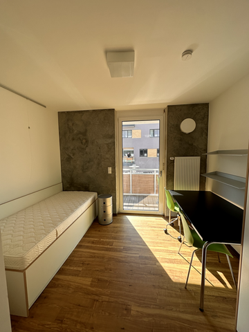 Möbliertes 1-Zimmer-Apartment - Foto 2